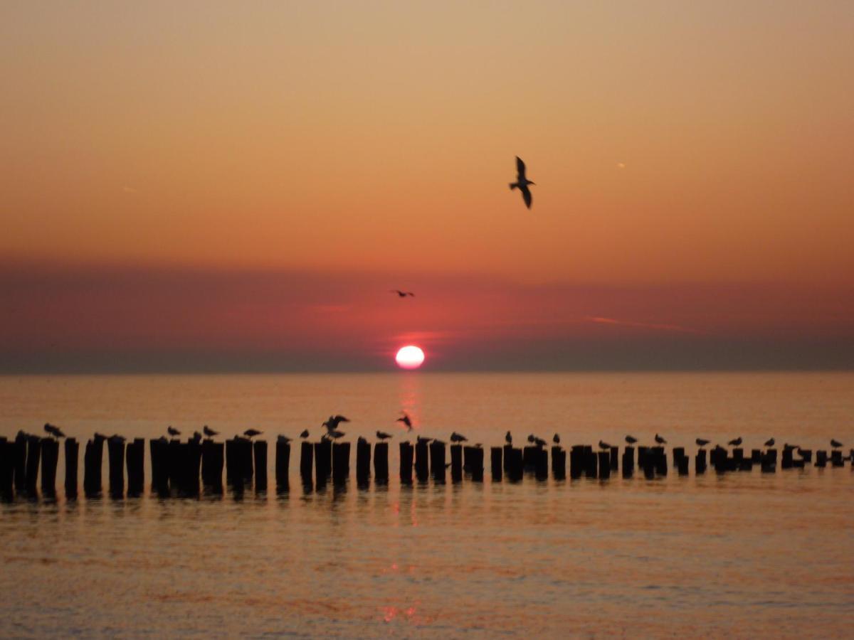 Vakantiehuis Domburg Do12 ภายนอก รูปภาพ